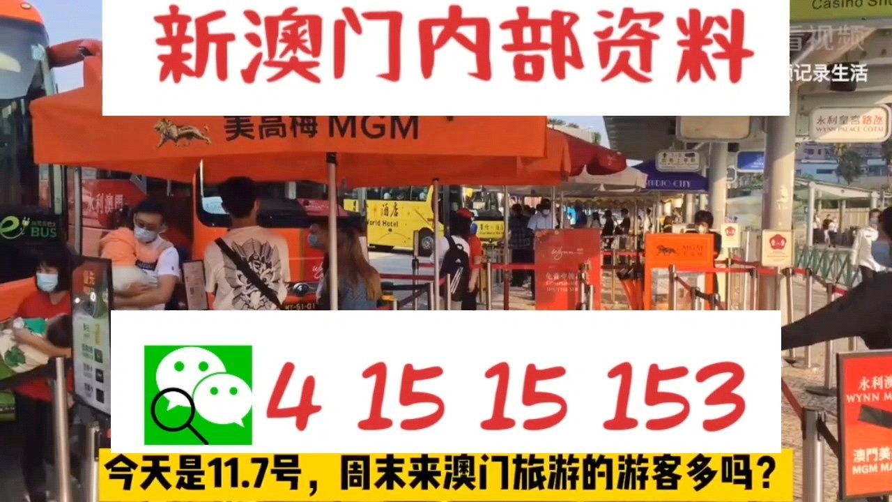 新澳门三码中特,新澳门三码中特的探索与理解