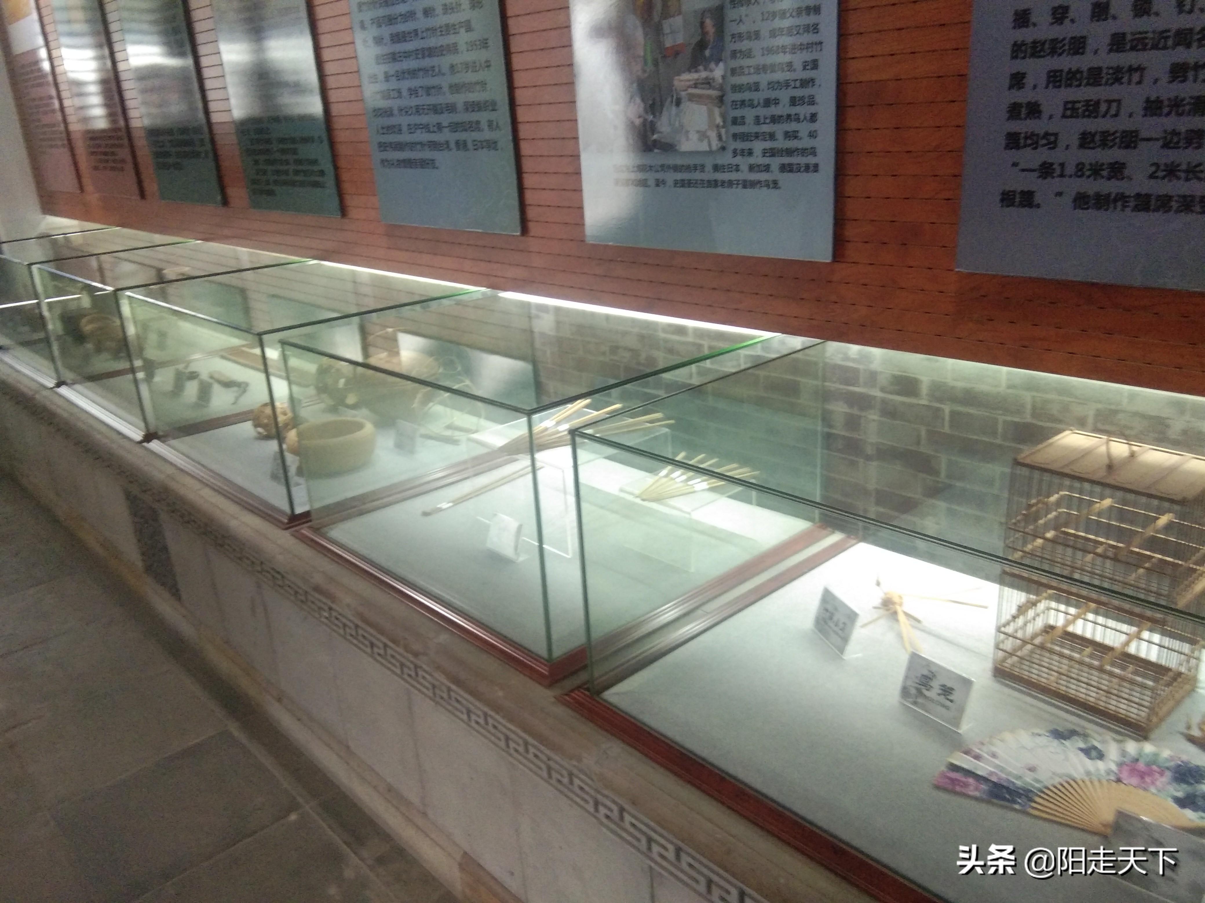 新奥今天晚上开什么,新奥今天晚上开什么，一场期待已久的多彩盛宴