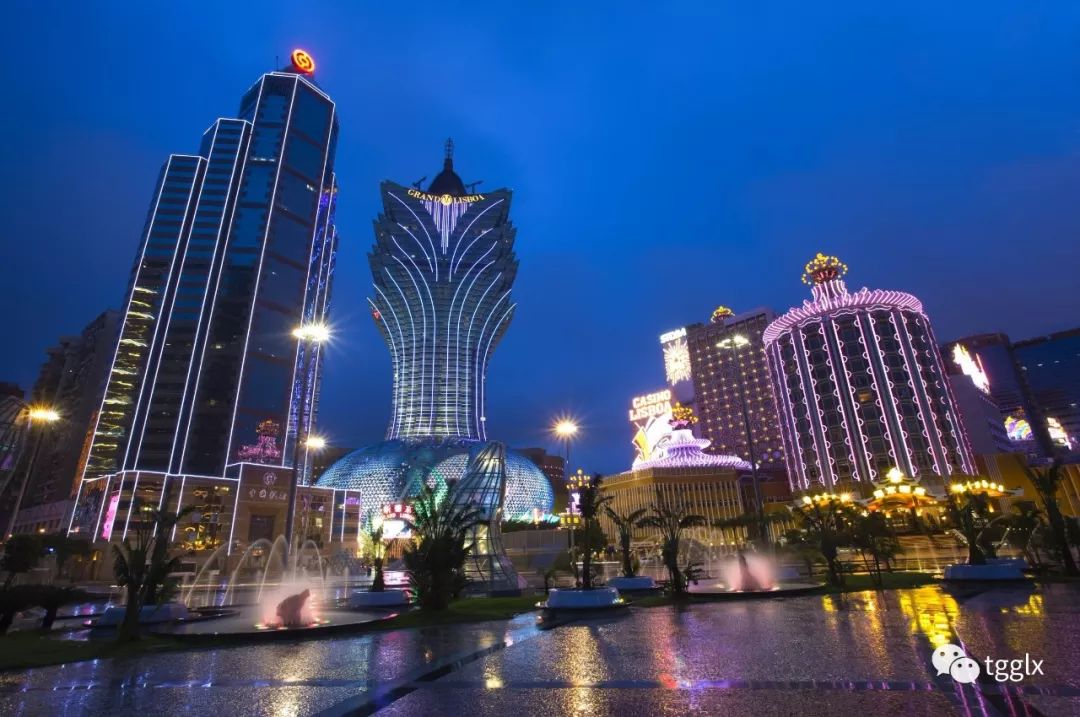 2025澳门天天开好彩大全香港,澳门与香港，探索未来的繁荣与活力——迎接2025天天开好彩的愿景