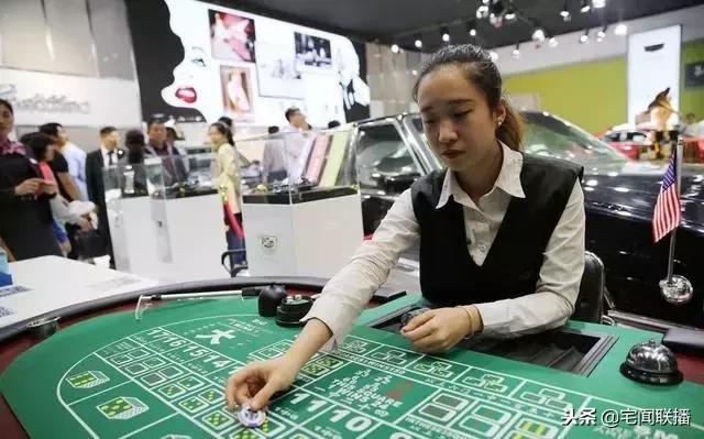 新奥门100%中奖资料,新澳门100%中奖资料，揭秘彩票背后的秘密