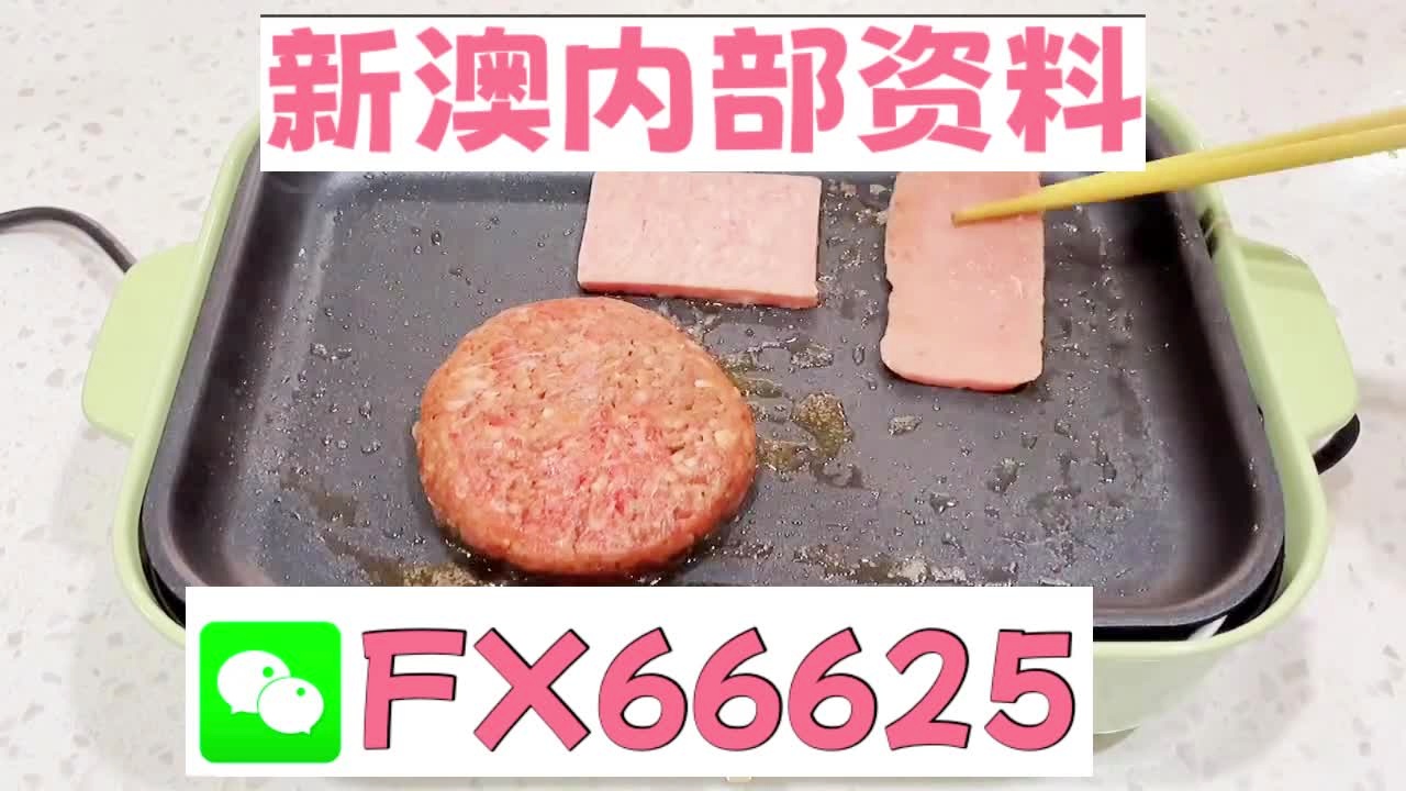 新澳门精准5码中特,新澳门精准5码中特，探索其背后的秘密与魅力