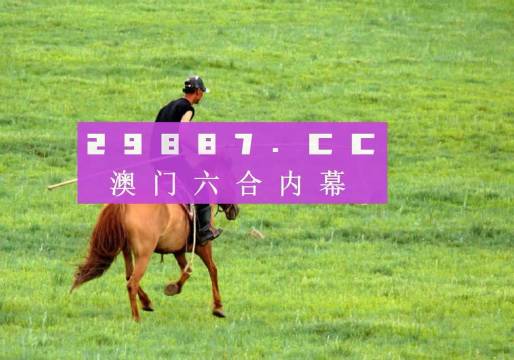 香港免费资料王中王资料,香港免费资料王中王资料详解