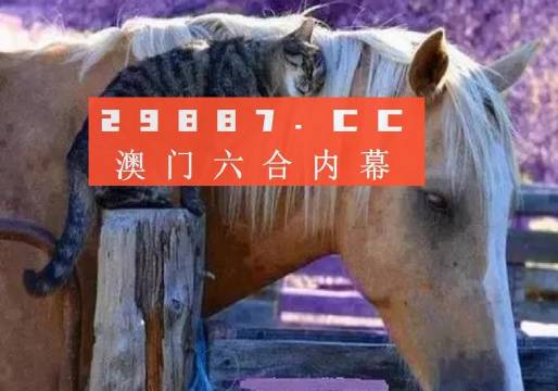 今晚一肖一码澳门一肖四不像,今晚一肖一码澳门一肖四不像，探索与解析
