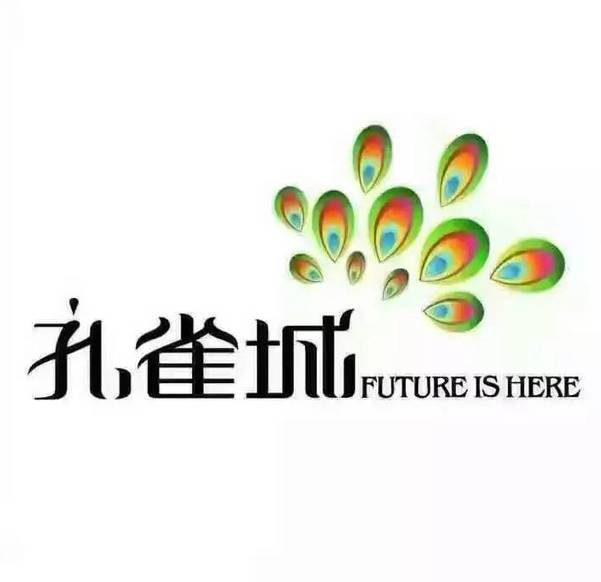 新奥天天开内部资料三巴,新奥天天开内部资料揭秘，三巴的独特价值与应用