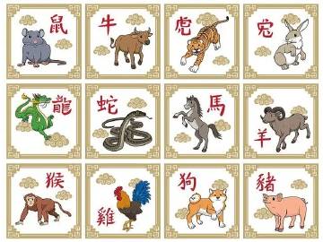 二四六香港管家婆生肖表,二四六香港管家婆生肖表，解读与探索