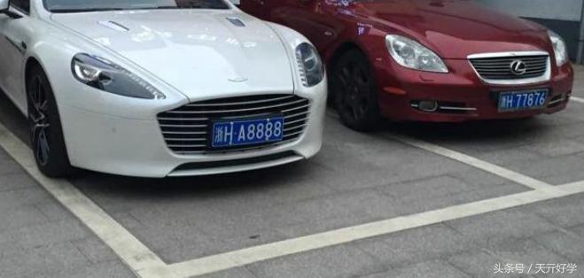 7777788888新版跑狗图,探索新版跑狗图，77777与88888的魅力交织