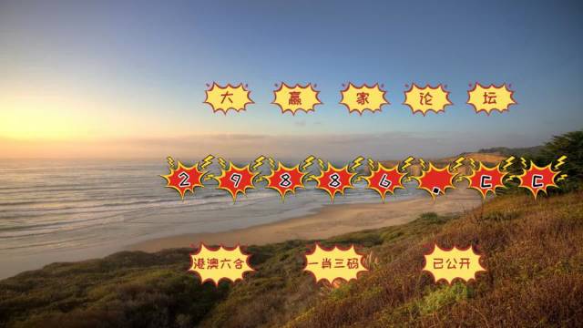 2025年澳门天天开好彩最新版,澳门天天开好彩，探索未来的幸运之旅（最新版）