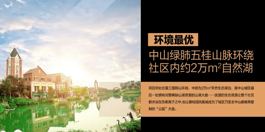 新澳门芳草地内部资料精准大全,新澳门芳草地内部资料精准大全，探索与揭秘
