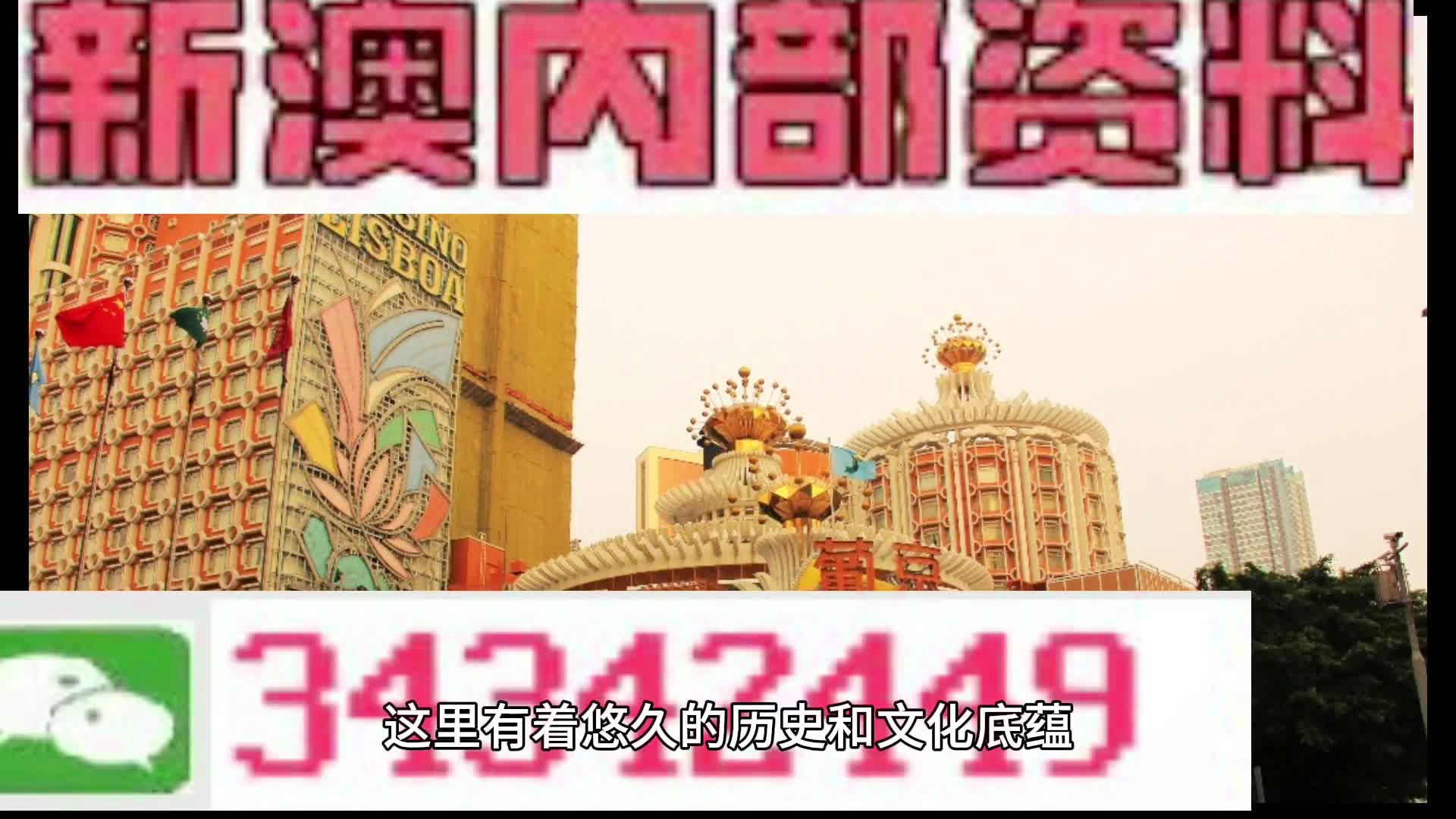 新奥门正版免费资料怎么查,新澳门正版免费资料的查找方法与策略