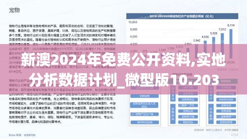 2025年新澳正版精准资料免费大全, 2025年新澳正版精准资料免费大全，全面解析与深度探讨