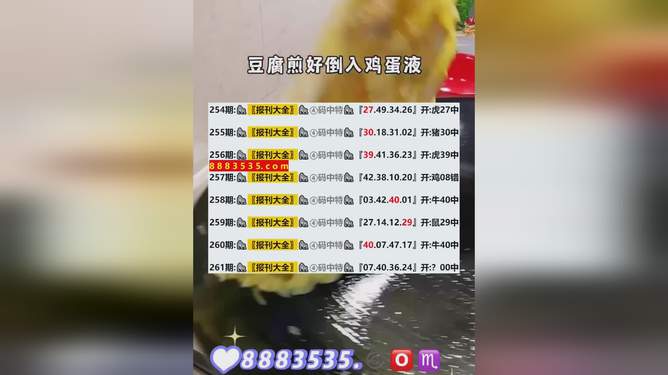 新澳今晚开奖结果查询,新澳今晚开奖结果查询——揭开彩票开奖的神秘面纱