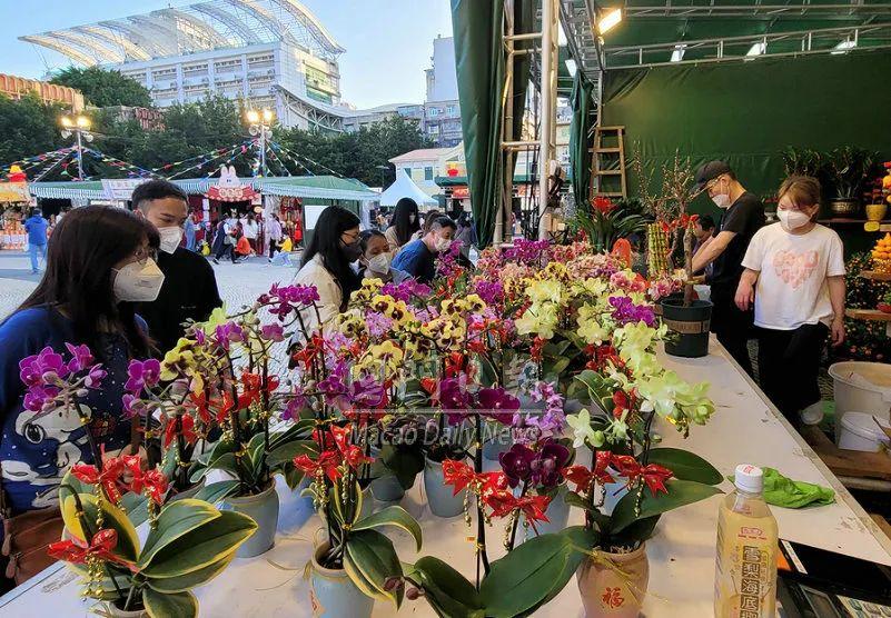 澳门六开奖结果2023开奖记录今晚,澳门六开奖结果2023开奖记录今晚——深度解析与预测