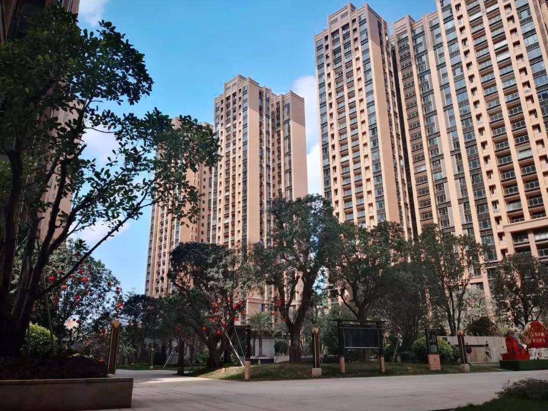 澳门最准真正确资料大全,澳门最准真正确资料大全，深度探索与解析