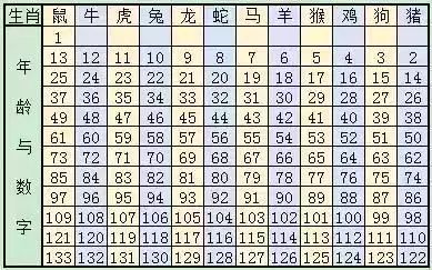 2025十二生肖49码表,揭秘十二生肖与数字世界的神秘联系，2025年十二生肖与数字49的码表解读
