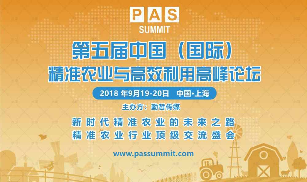 2025年天天彩精准资料,探索未来彩票之路，2025年天天彩精准资料解析
